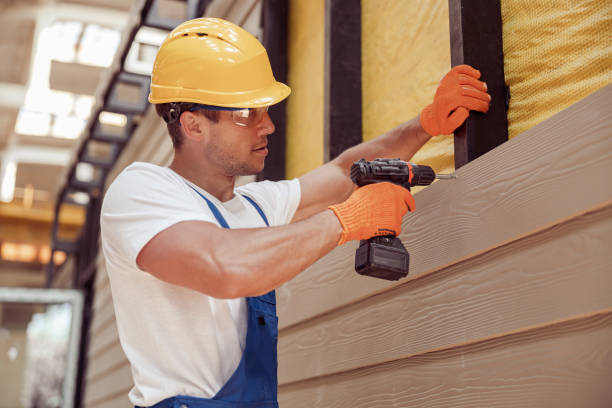 Best Insulated Siding Installation  in Washburn, ND